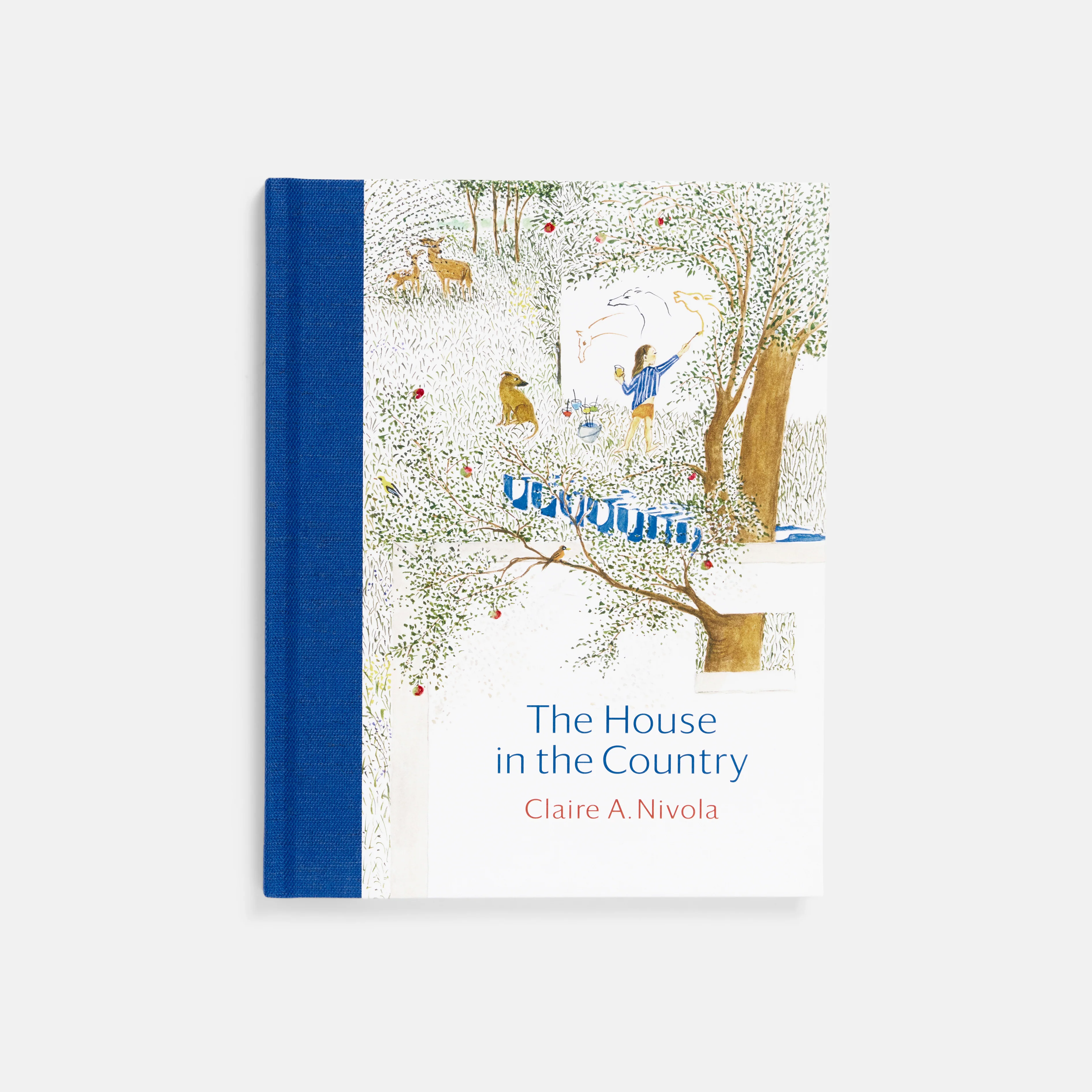 The House in the Country by Claire A. Nivola