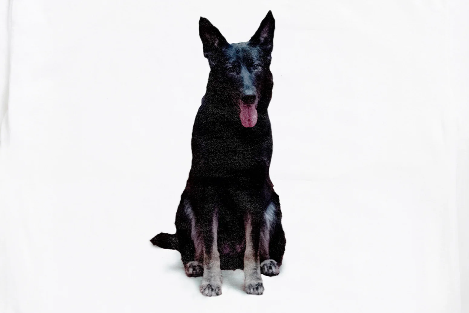 Babygirl Dog Tee - Image 2
