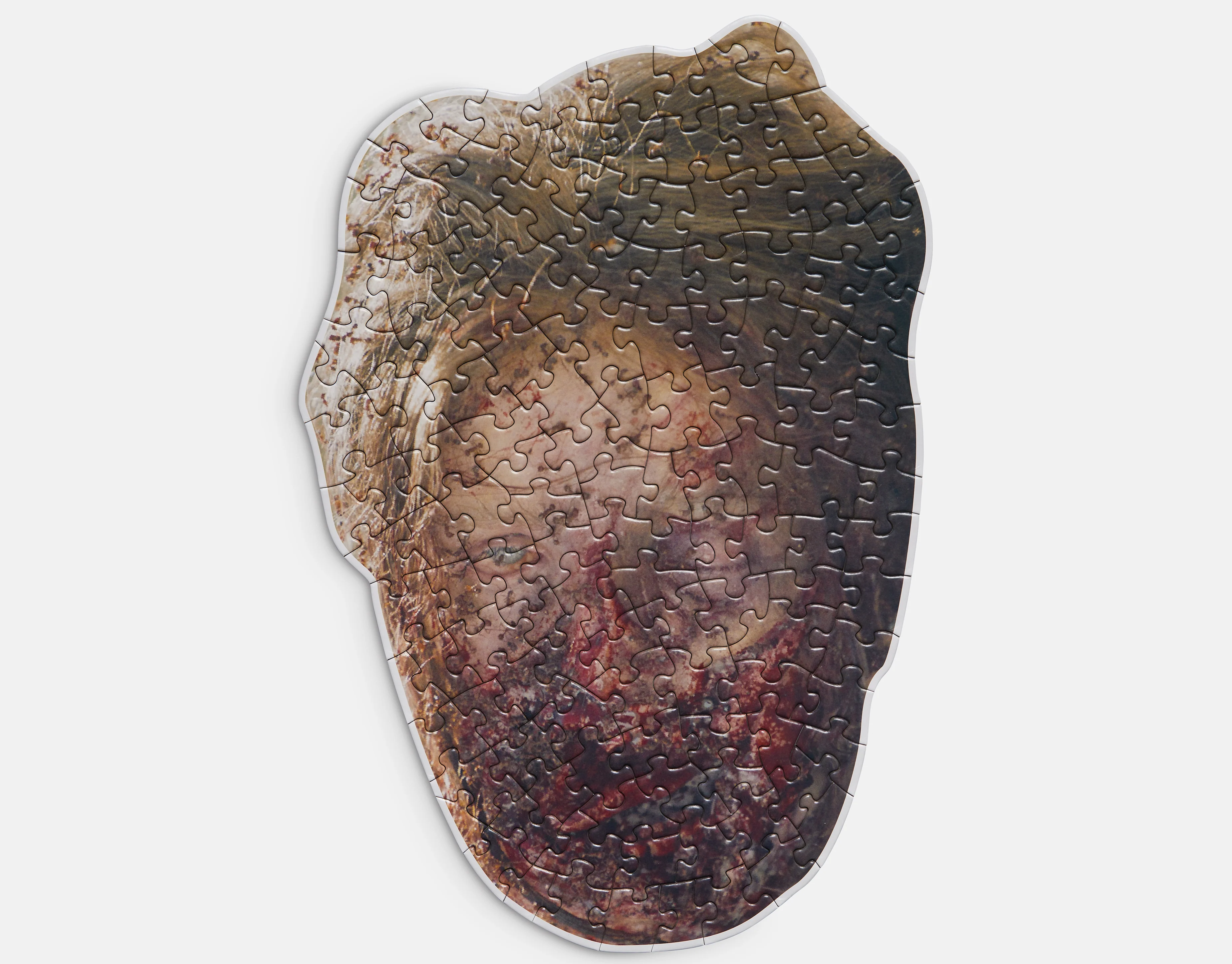 Mini Puzzle 003: Charlie’s Head - Image 2