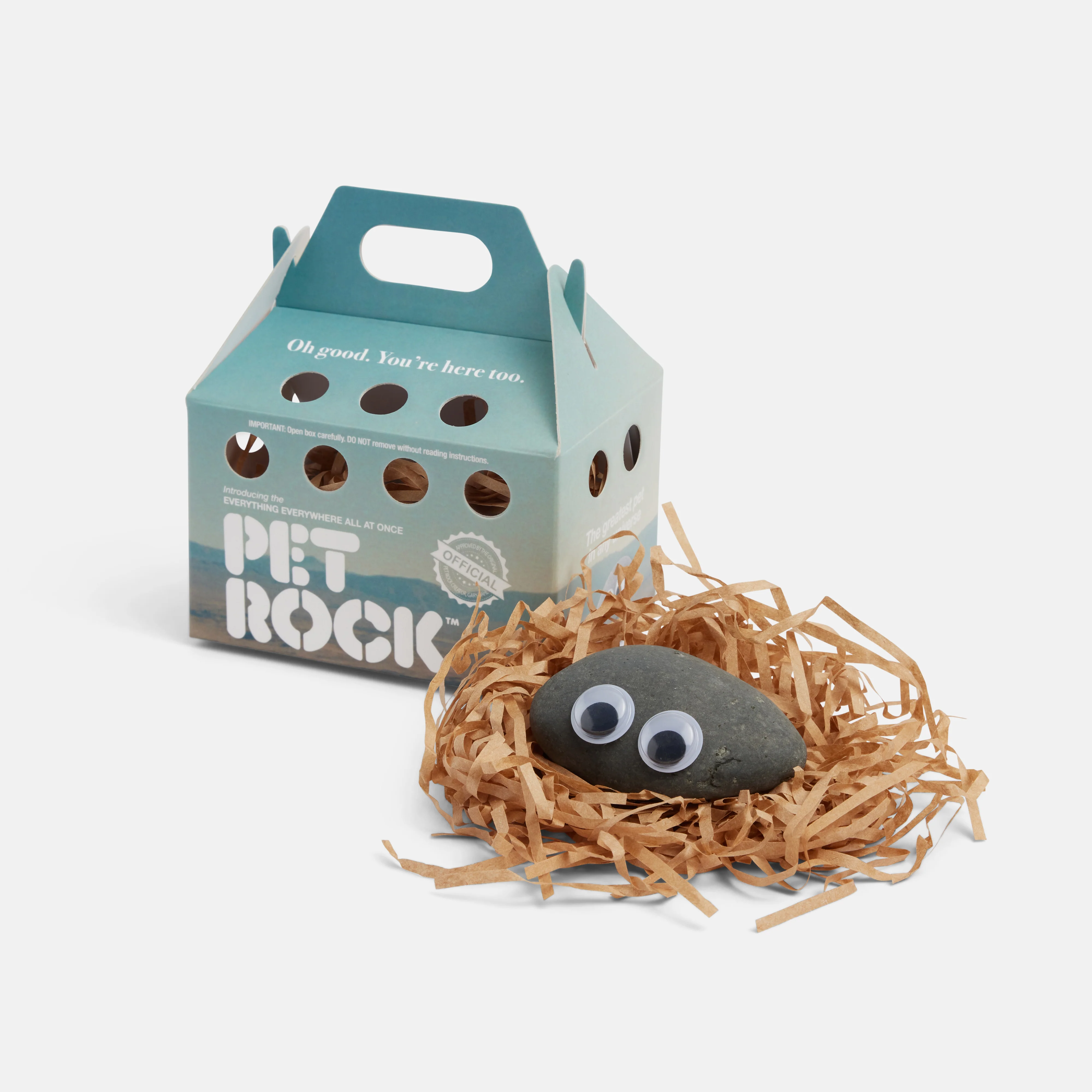 Everything Everywhere Pet Rock™