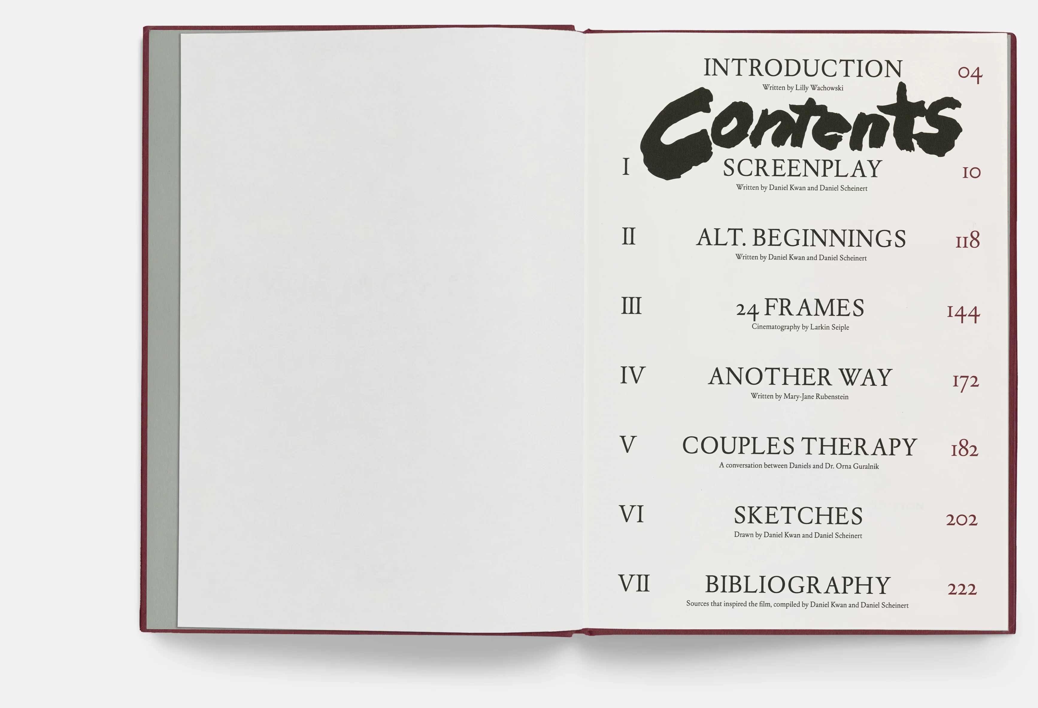 Everything Everywhere All at Once Screenplay Book - Image 2