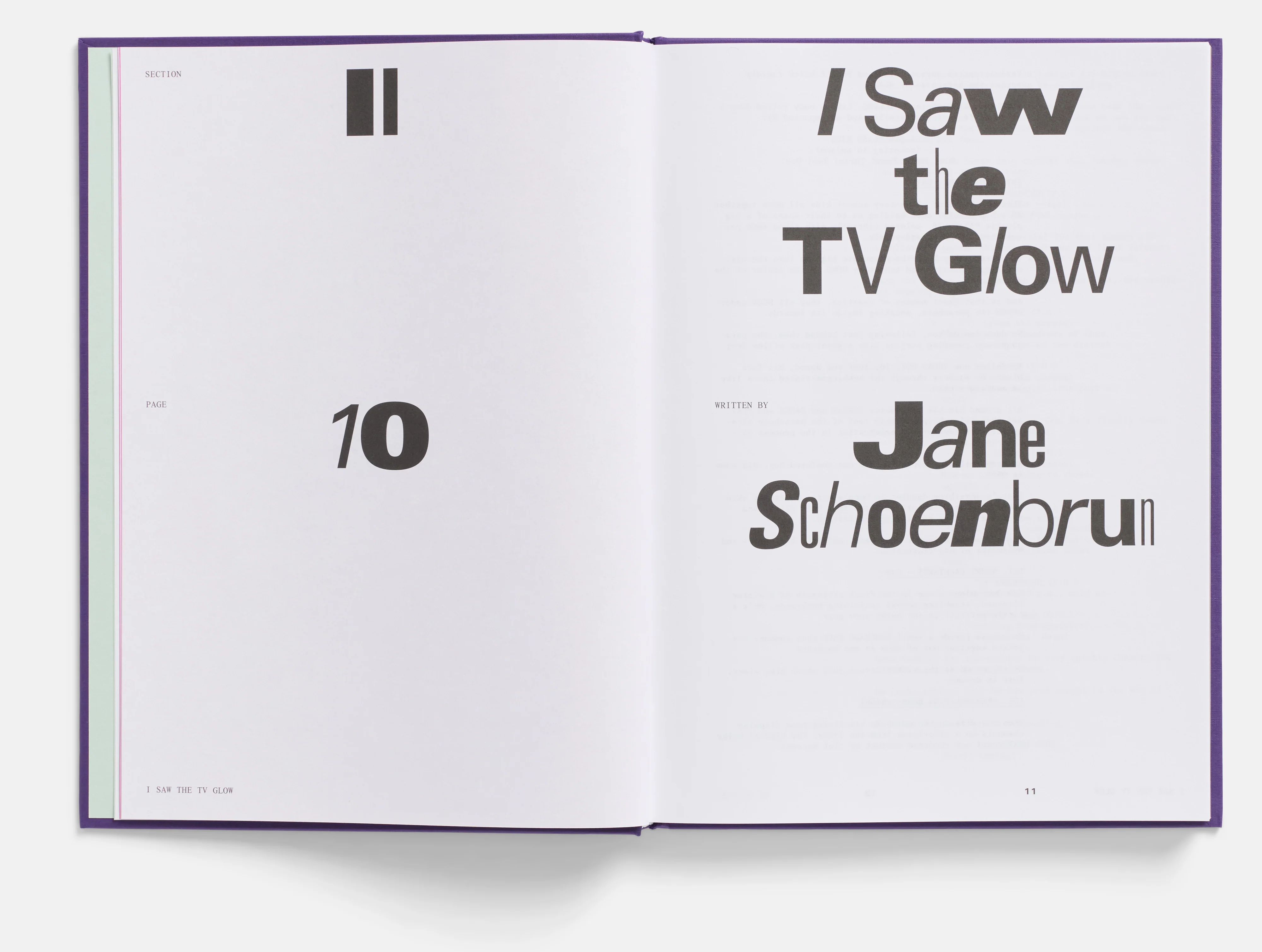 I Saw the TV Glow Screenplay Book - Image 2