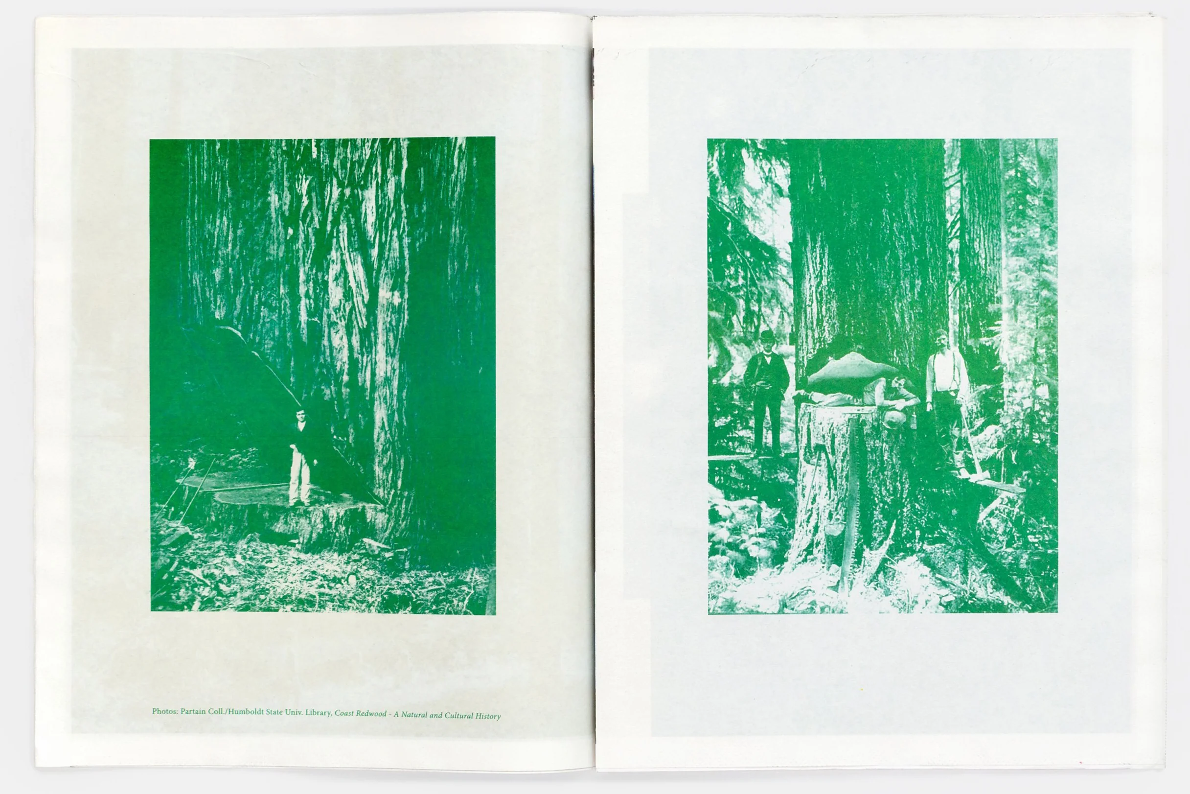 Redwoods Zine by Kate & Laura Mulleavy - Image 2