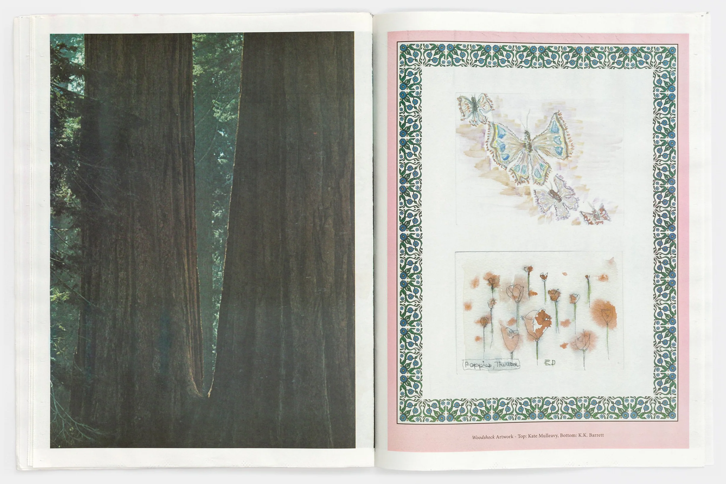 Redwoods Zine by Kate & Laura Mulleavy - Image 4