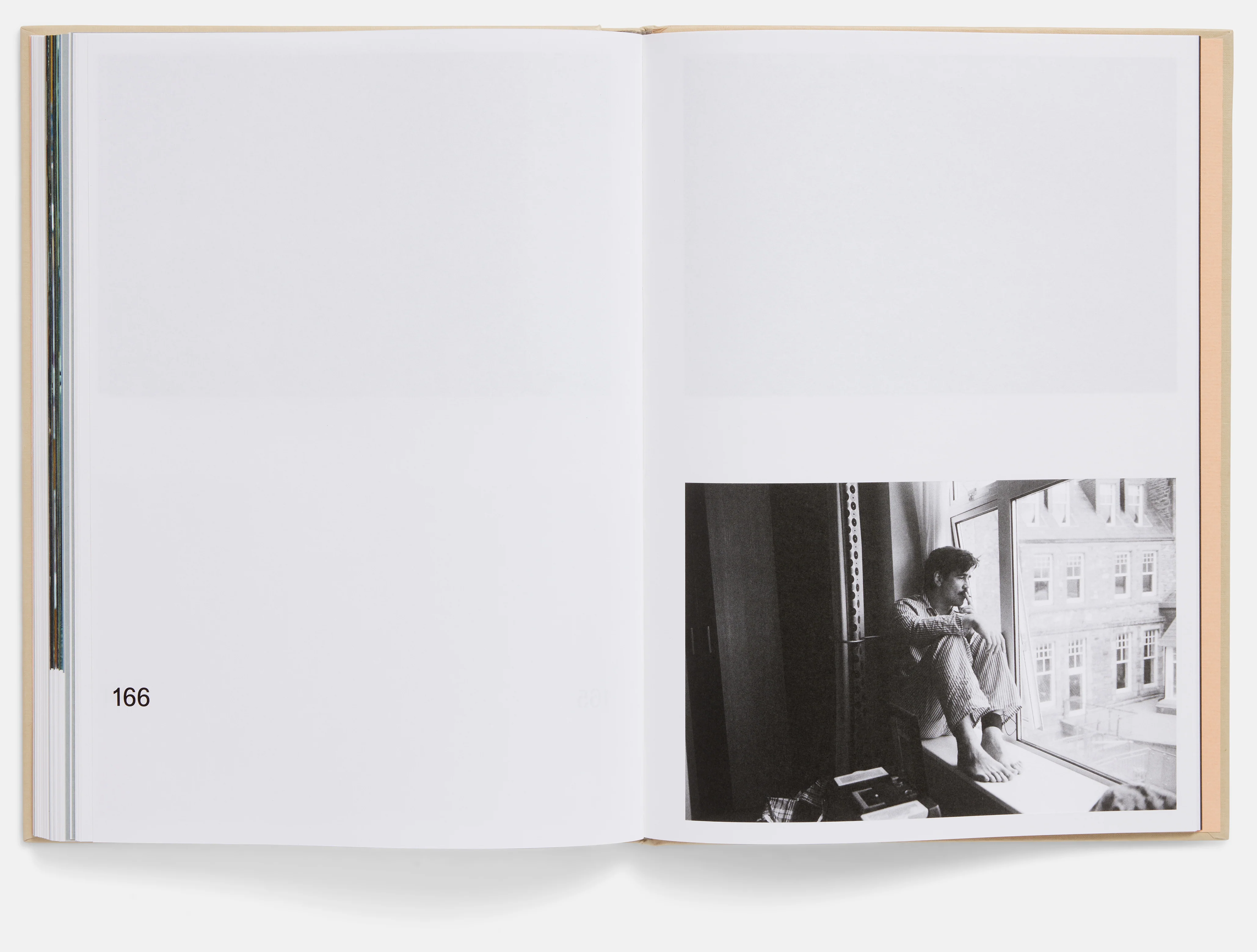 The Lobster Screenplay Book - Image 7